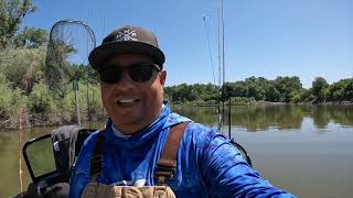 Ep 251 How we wrap cut bait by Old Farts Fishing 170 views 12 days ago 3 minutes, 59 seconds