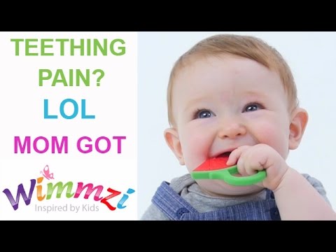 3 Best Teethers For Babies - The Must Have Silicone Teether Toys by WIMMZI