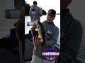 DAY 1 LEADERS AT LAKE HARTWELL #BassProShops #AFTCO #AnyFishAnyWater #LakeHartwell #VisitAnderson