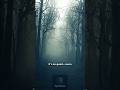 Aokigahara's Haunted Forest! #mythminute #scarystories #creepyshorts #scary #horrorstories #shorts