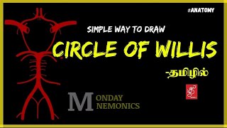 CIRCLE OF WILLIS | TIPS TO DRAW CIRCLE OF WILLIS | MONDAY MNEMONICS #CIRCLEOFWILLIS #ANATOMY #TAMIL