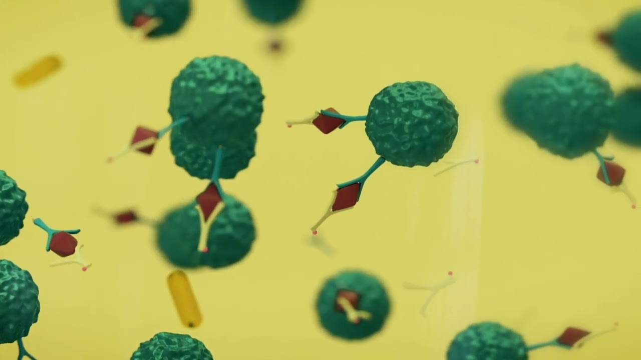 eCL8600 product introduction