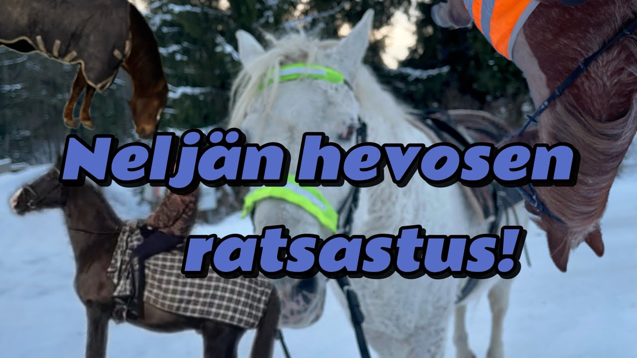 Neljän hevosen ratsastus😰 Talli my day