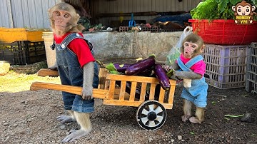 YiYi takes Yumy to harvest eggplants to sell and buy food