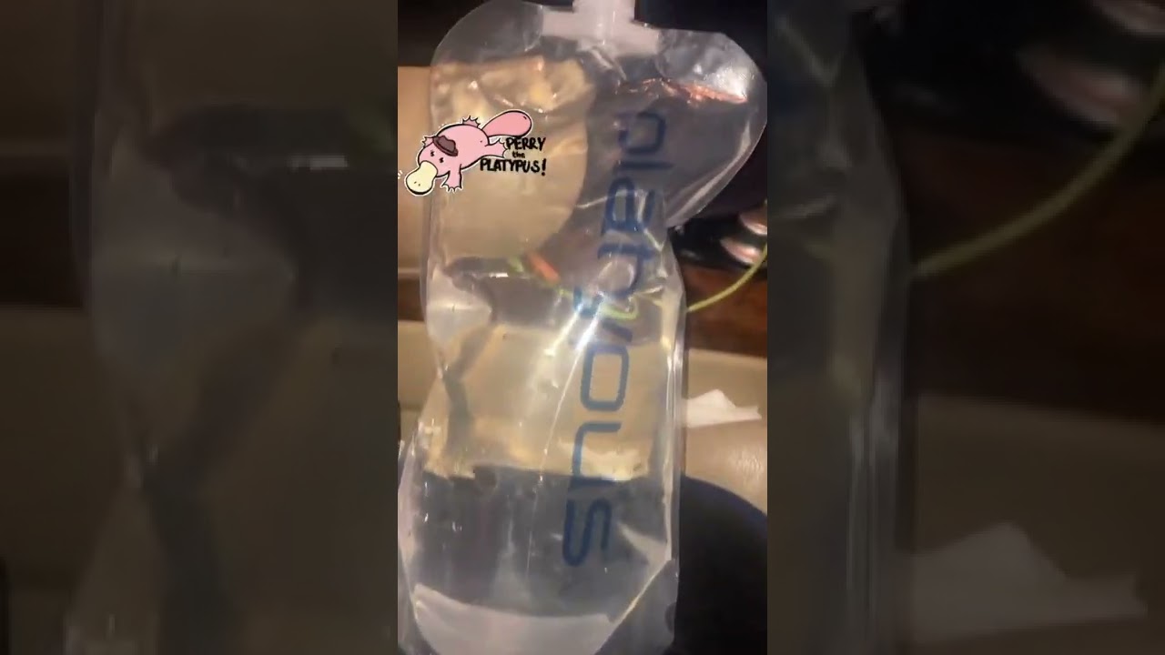 Platypus water 💦 bottle