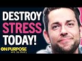 Thumbnail for "DO THIS To Destroy STRESS & ANXIETY Today!" | Zachary Levi & Jay Shetty