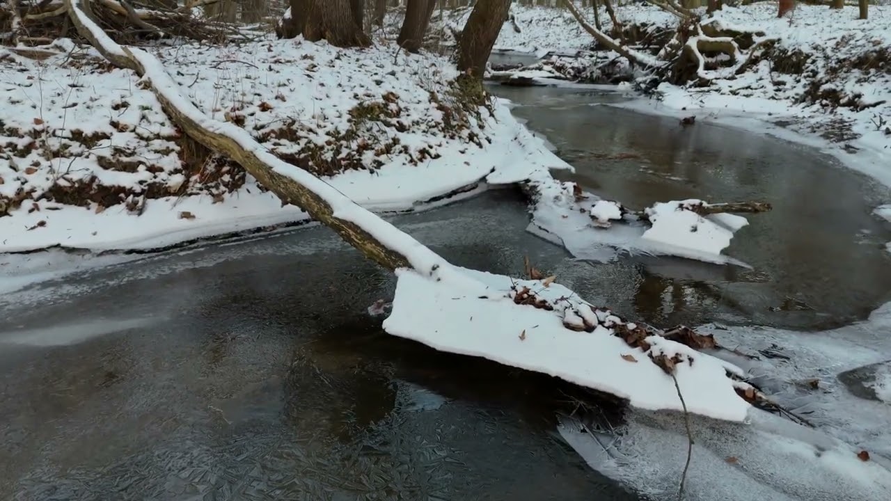 11.01.2026 - Lachsbach