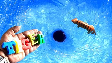 whirlpool vortex EXPERIMENTS. whirlpool. vortex. whirlpool experiments.  experiment video #025