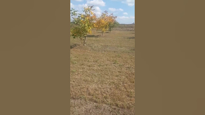 Прийшла повістка, але....