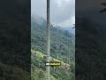 Valle de Cocora: Colombia’s Most Beautiful Secret Finally Uncovered! 🌴