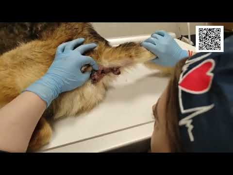 Сколько стоит ДОБРОТА/How much is the cost of kindness
