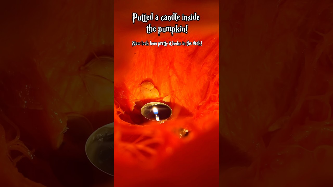 SOME HALLOWEEN VIDS👻💕 