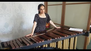 Interstellar marimba cover