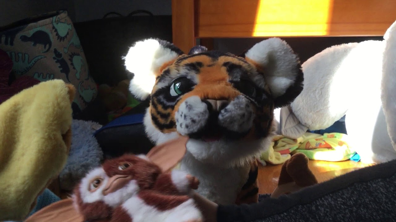 Animal rep 1 🦁🦁🦁🦁🦁🦁🐮🐮🐮🐮🐮🐯🐯🐯🦍🦥🦥🦥🦥🦥 - YouTube