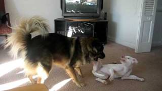 MVI_5376.AVI