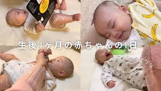 【生後4ヶ月の赤ちゃん】1日のルーティン/寝返り/睡眠退行