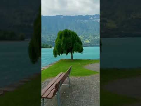 سيأتيك الذي ترجوه يوما فلا تعج ل عليه وإن تأخر وإن كب رت همومك لا تبال فلطف الله في الآفاق أكبر 