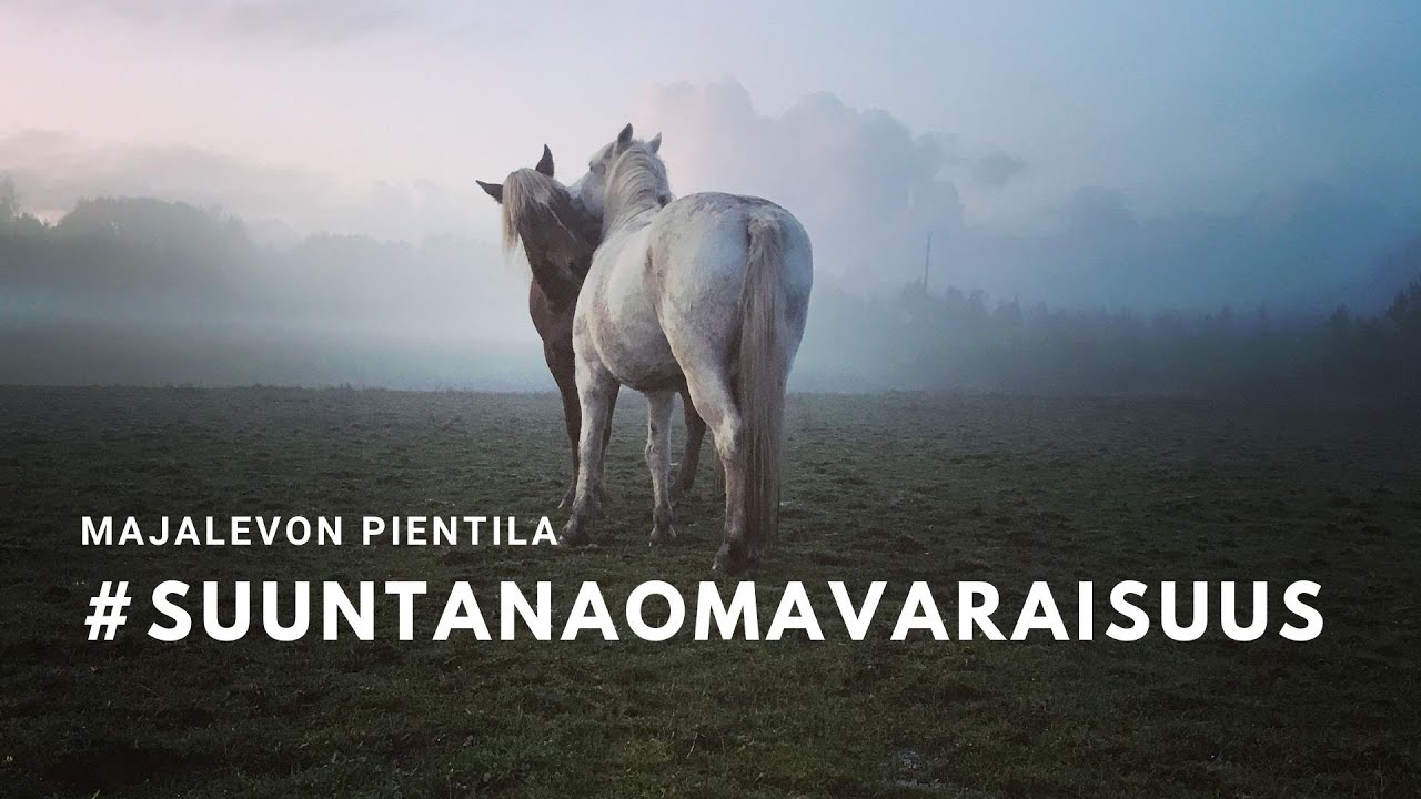 KYYTTÖJÄ JA KALKKUNOITA PIENTILALLA