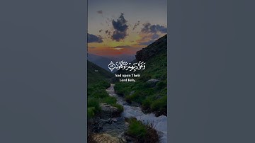 الذين صبروا وعلى ربهم يتوكلون [العنكبوت: 59_60] القارئ #عبدالرحمن_مسعد