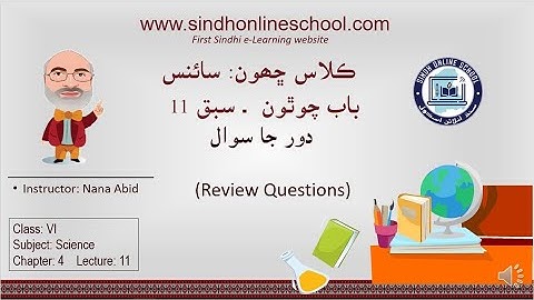 Review Questions| Science Class 6| Chapter 4| Lecture 11| by Nana Abid| Sindh Online School