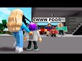 We Got Crazy Brookhaven Neighbours.. They Were So Mean.. (Roblox)