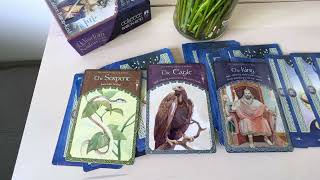 Подсказки Судьбы. Ваши Духовные Проводники. Колена Таро