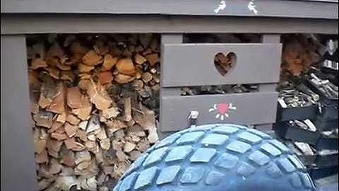 Splitting FireWood using the Unicorn Log Splitter on the Massey Ferguson Work Bull 202