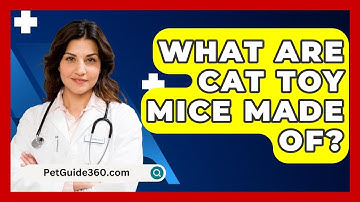 What Are Cat Toy Mice Made Of? - PetGuide360.com