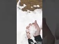 ليش هيك نا ملابس بين اديكي