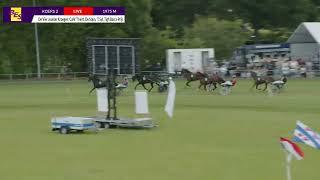 Vidéo de la course PMU DE VIER JOUSTER KROEGEN: CAFE 'T HERT, DE STAM, 'T SYL, TIGH BARRA-PRIJS