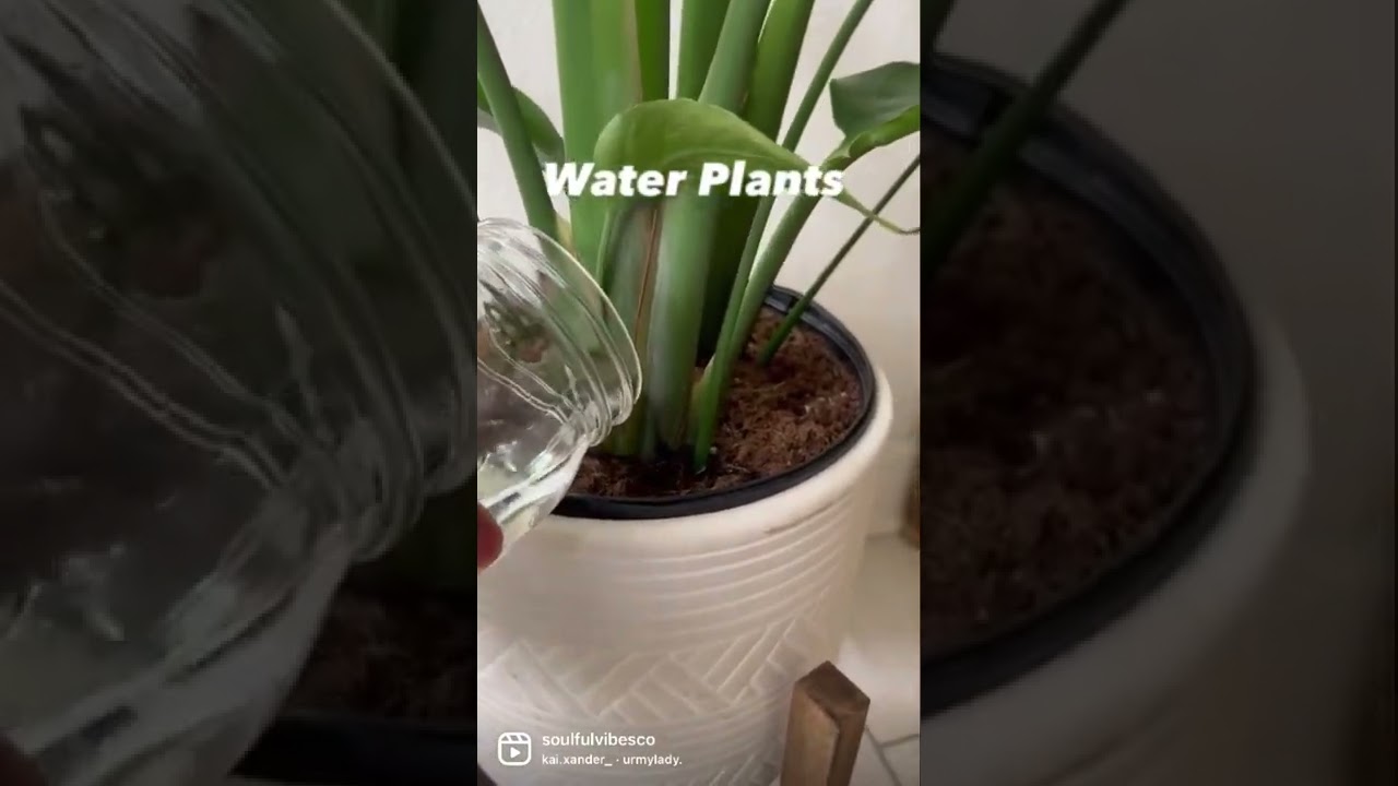 Ways to use Moon water