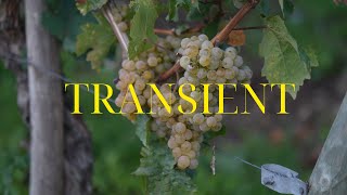 158.TRANSIENT