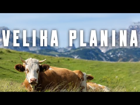 VELIKA PLANINA, Slovenia – Europe’s Last Living Shepherd Village 🇸🇮 Hidden Alpine Gem