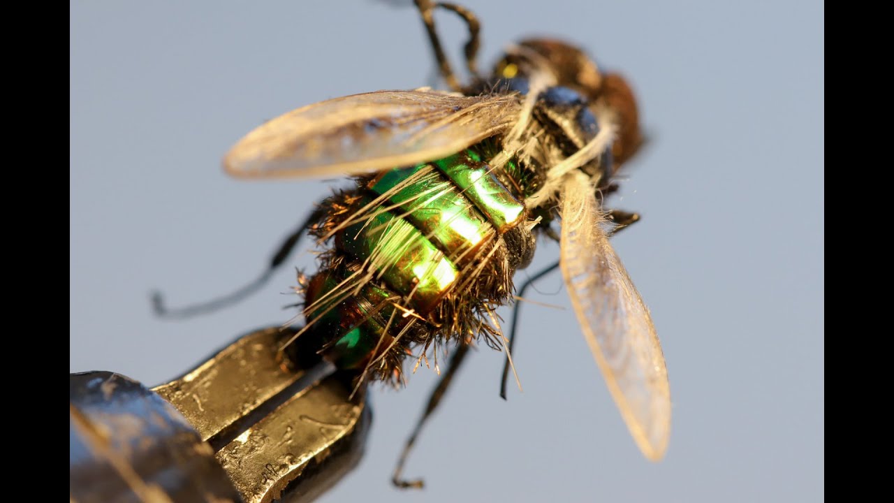 Artificial house fly for flyfishing