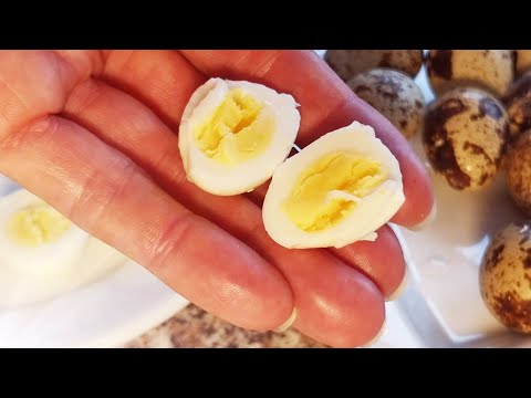 Как И Сколько Варить Перепелиные Яйца Чтобы Они Были Нежные И Вкусные