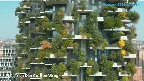 SOL FOREST - ECOPARK