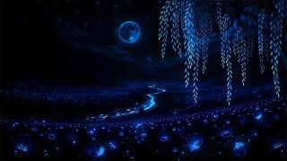 Drift Into Deep Sleep (NO ADS) • Stop Overthinking • Increase Deep Sleep • GOODBYE Insomnia