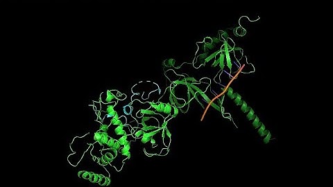 BRCA2 Visualization with PyMOL