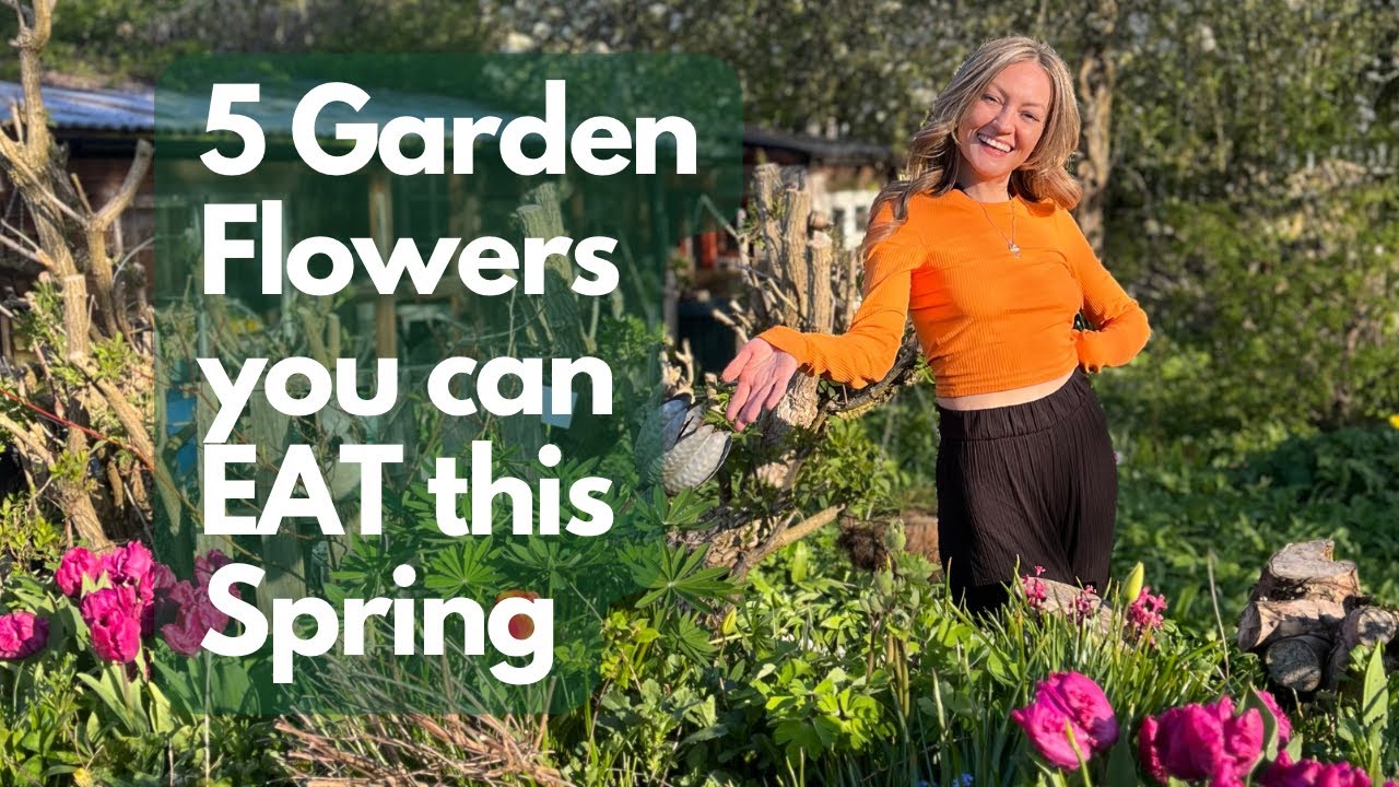 5 Garden Flowers You Probably Didn’t Know Were Edible | UK Allotment