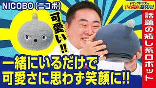 【癒し/かわいい】特別なことができないけど、思わず笑顔になるロボット‼「NICOBO（ニコボ）」とは！（ドランクドラゴンのバカ売れ研究所　公式）