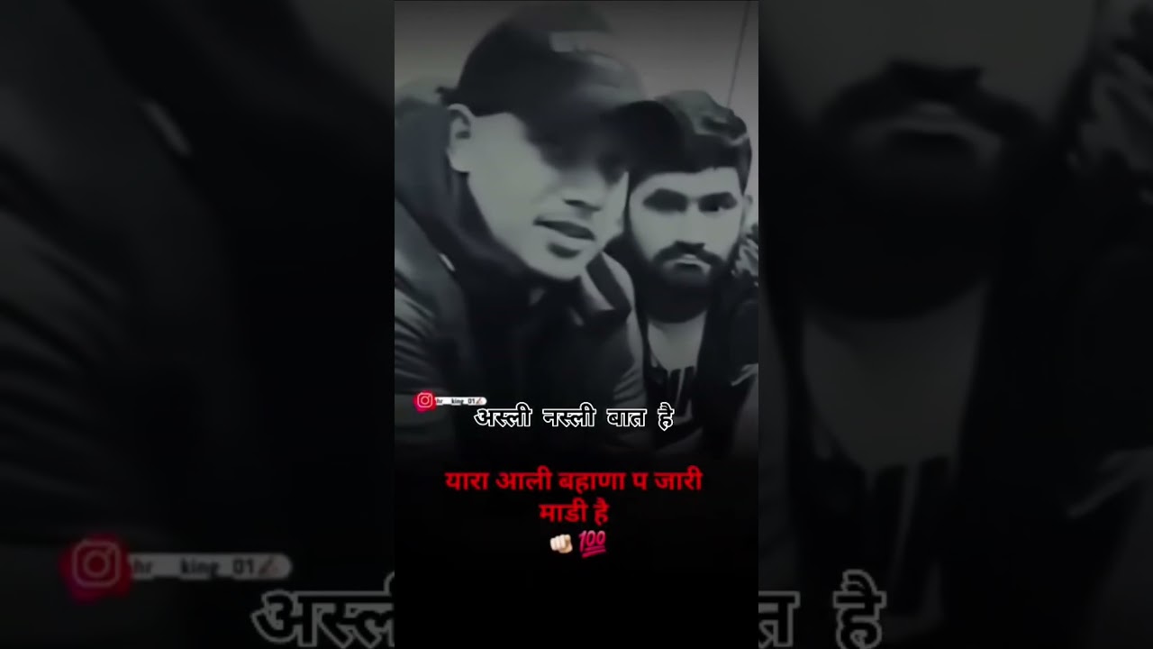 live show shayri dhanda nyoliwala/nyoliwala vomit on paper