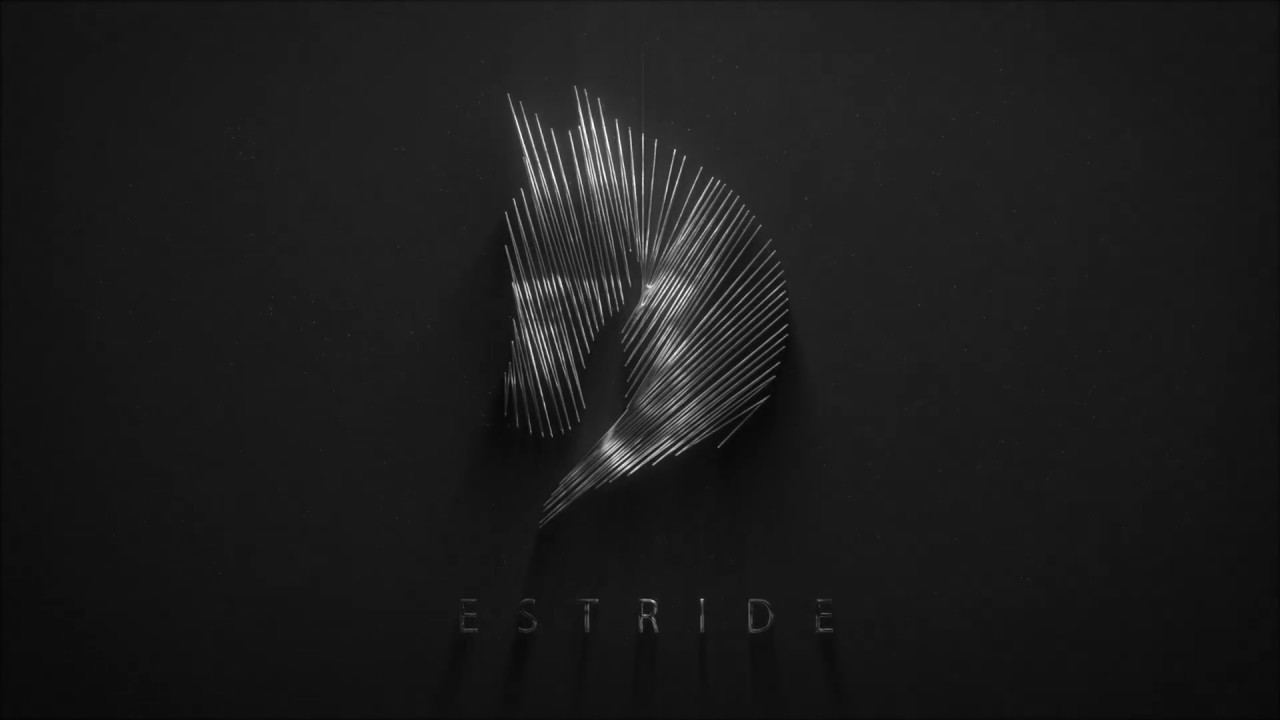 ESTRIDE - Equine Perfomance Analysis