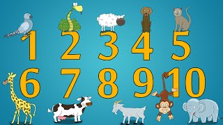 Učimo brojeve - Životinje