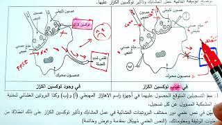 حل تمرين الإتصال العصبي 🦑 بكالوريا 2023 .