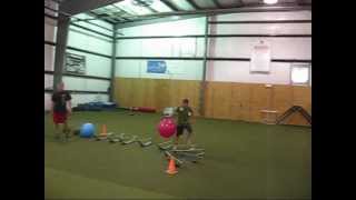 Hoppity Hop Obstacle Course 1