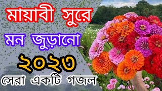 Bangla Gojol,New Bangla Gazal, Ghazal, Gojol,Islamic Gazal,Ramzan Gojol,Bangla New Gazal 2023,