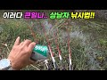 상남자의 붕어낚시법!! 이렇게 낚시하시면 위험합니다