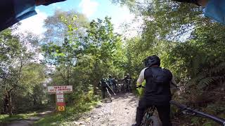 MyCarl MTBisdak BPW WATTS OCCURING 20200906