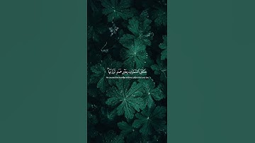 سورة لقمان : الآية {08_10}.#قرآن #راحة_نفسية #قران_كريم #سورة_لقمان #ياسر_الدوسري