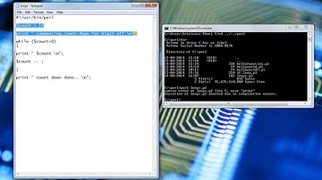 For loop and While loop in Perl from Damnhit.com